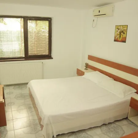 Casa Dana Pensionat 3*